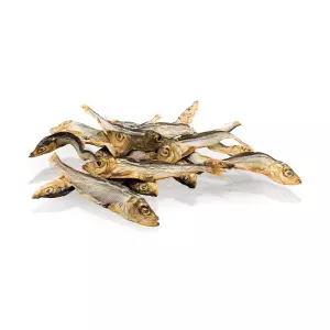 Rybičky - mořské šproty 5 kg