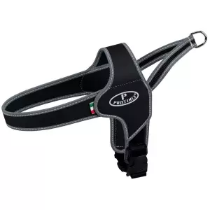 PRATIKO norwegian postroj Apollo - černý (XXS-XS:hruď:28-33cm)
