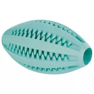DentaFun RUGBY míč s mátou 11cm TRIXIE
