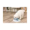 Dog Activity FLIP BOARD, s kuželkami a kostičkami, 23 x 3 cm