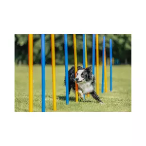 AGILITY Slalom, tyče 12ks