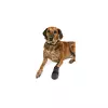 Botičky-neopren 2ks - TRIXIE (XXXL:např. leonberger)