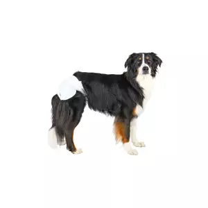 Papírové pleny pro feny (12 ks/bal.) (XS-S: pas: 20-28 cm)