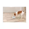 Dog Activity GAMBLE BOX, krabička se šuplíky 15x9x15 cm