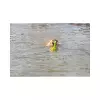 Mot-Aqua aportovací kolík do vody, plovoucí 29 cm