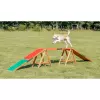 Dog Activity AGILITY nácviková lávka 456x64x30 cm