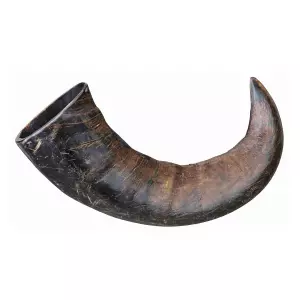 Originální buvolí žvýkací roh, velký