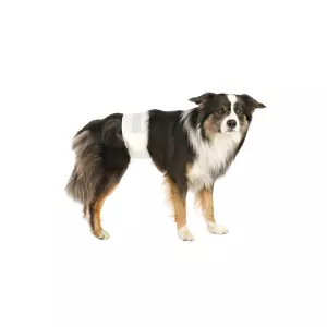 Papírové pleny pro psy (12 ks/bal.) (XS: pas: 20-42 cm)