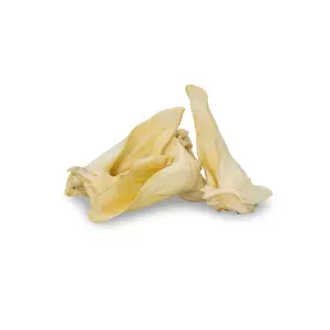 Srnčí ucho bílé (popcorn) - 1 ks