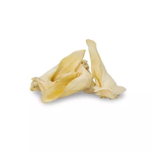 Srnčí ucho bílé (popcorn) - 1 ks