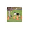 Dog Activity agility překážky (3 ks) 23 x 30 cm/78 cm oranž/žlutá