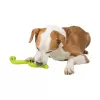 Snack Snake, had na pamlsky, TPR (42 cm)