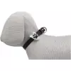 Flasher blikačka pro psy 2,4 cm / 8 cm bílá/barevná tlapka