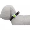 Flasher blikačka pro psy 2,4 cm / 8 cm bílá/barevná tlapka