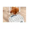 Dog Activity Slide & Feed 30 x 27 cm