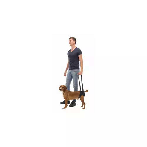 Podpůrná pomůcka k chůzi M 55-65 cm černá