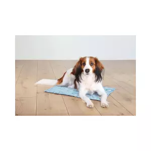 Chladící podložka pro zvířata, motiv bublinky, světle modrá (90 x 50cm)
