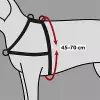 Lead'n'Walk Soft tréninkový postroj - černý (S-M:hruď:45-70cm/25mm)