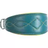 Kožený obojek ACTIVE Comfort pro chrty - petrolejová/žlutá (S-M:33-42cm/60mm)