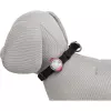 Flasher USB blikačka LED pro psy, 3 x 8cm