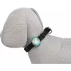 Flasher USB blikačka LED pro psy, 3 x 8cm