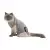 Ochranné body pro kočky, S-M, 32-36 cm, šedá