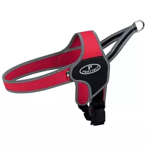 PRATIKO norwegian postroj Apollo, červený (XXS-XS:hruď:28-33cm)