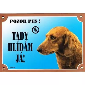 Barevná cedulka Pozor pes, Jezevčík dlouhosrstý