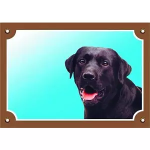 Barevná cedulka Pozor pes, Labrador černý