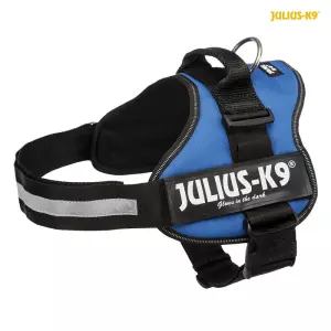 Julius-K9 silový postroj 1/L 66-85 cm/50 mm - modrý
