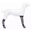 Ochranná silikonová ponožka, šedá (S: 6 cm/30 cm, např. Jack Russel teriér)