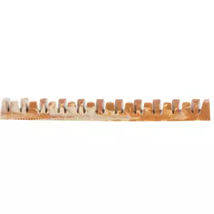 DentaFun Veggie Jaw Bone, kost 