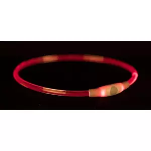 Flash light ring USB, blikací obojek, vícebarevný (S-M: 40 cm/ ø 8 mm)