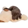 XXL plyšový pes Benny, 75 cm, béžová/hnědá