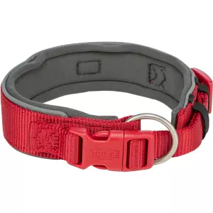 PREMIUM obojek extra široký, červená/grafit (M-L: 40-48 cm/40 mm)