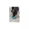Lick´n´Snack miska 16 cm, silikon, petrolejová