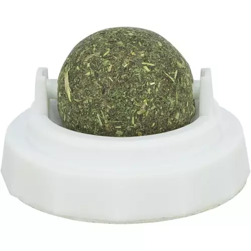 Kulička Catnipu v samolepícím držáku, 5 cm, bílá/zelená