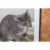Kulička Catnipu v samolepícím držáku, 5 cm, bílá/zelená