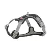 Postroj PREMIUM ACTIVE, černá (M: 49-69 cm/ 20 mm)