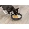 Salmon Soup losos & kuře - tekutý pamlsek pro kočky, (BAL 4 x 80 g)