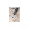 Dog Activity Hide´n´Sniff Bowl, miska k ukrytí pamlsků, o 18 cm