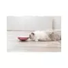 Cat Activity Rocking Maze, houpací bludiště, hra pro kočky, o 18 cm