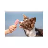 Ice Pop, nanuk s kuřecími prsy [70], 55 g, červená - LIMITOVANÁ NABÍDKA