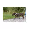 FlexMesh Premium postroj, široký střih, šalvějová (XS-S: 40-57 cm/ 15 mm)
