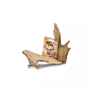 KIDDOG Antler, dančí paroh - XL