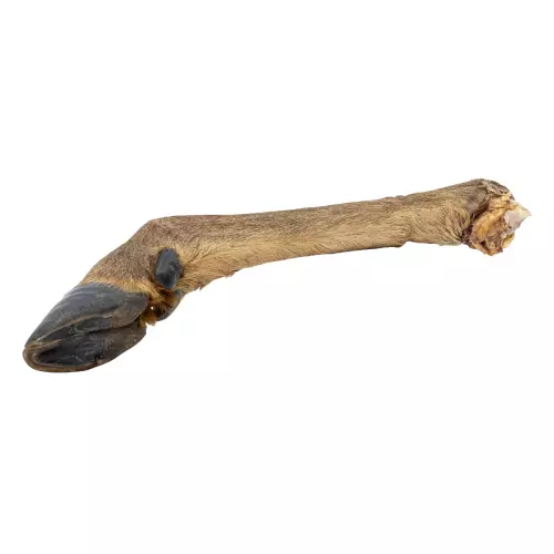 Jelení noha s kožešinou - 1 ks / 43 - 49 cm